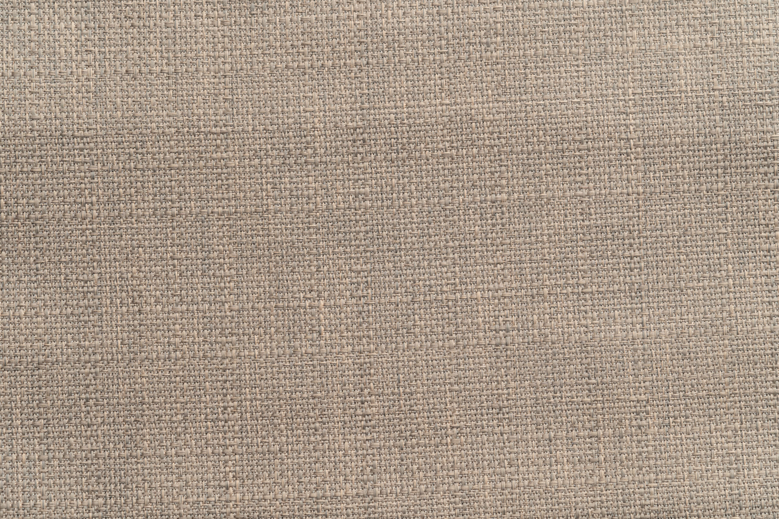 Bambo - Image 8