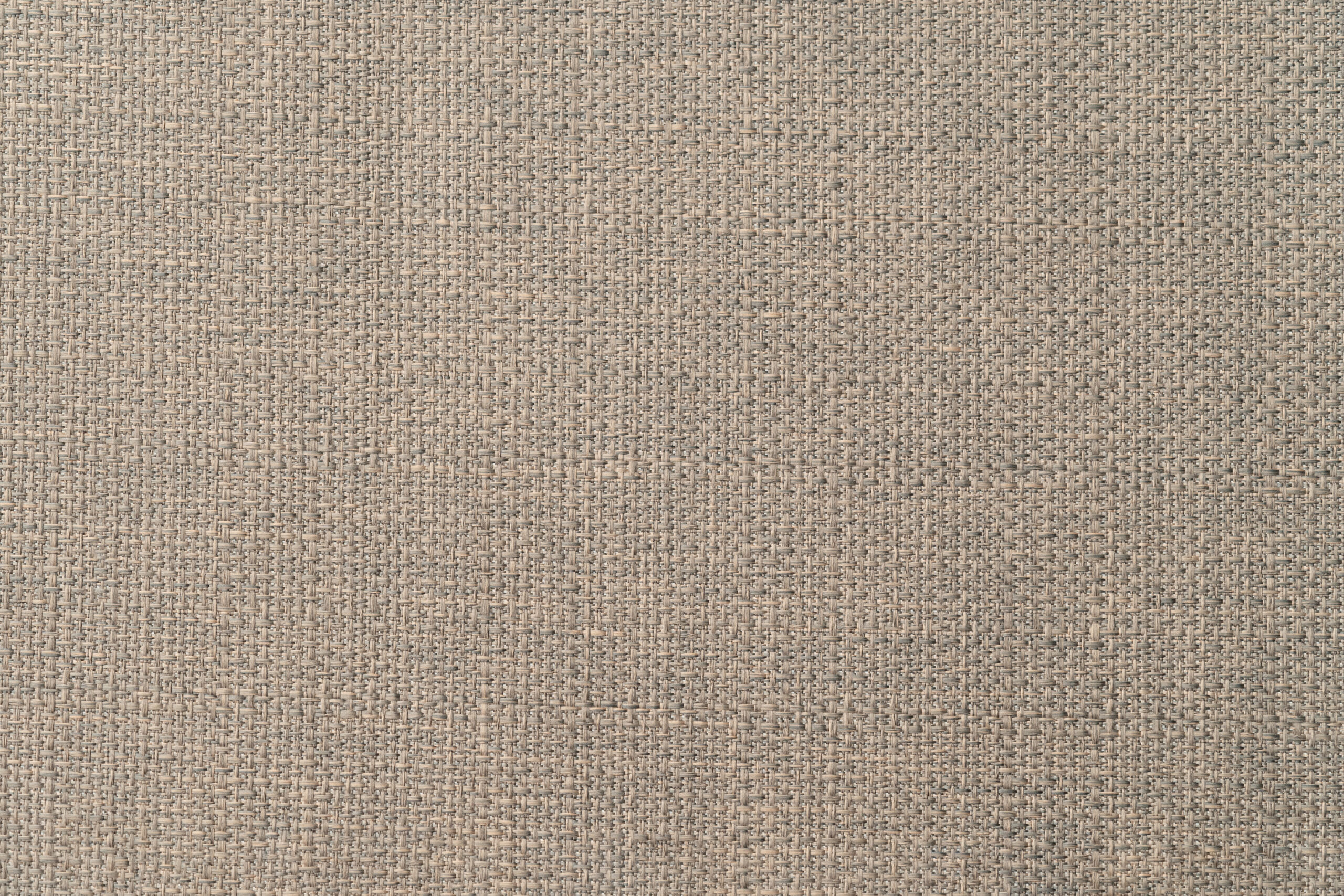 Bambo - Image 9